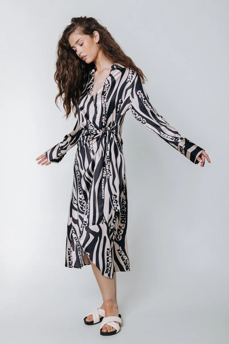 Colourful Rebel Lea Zebra Wrap Midi Dress- Maat S 5 Colourful Rebel Lea Zebra Wrap Midi Dress- Maat S - Afbeelding 3